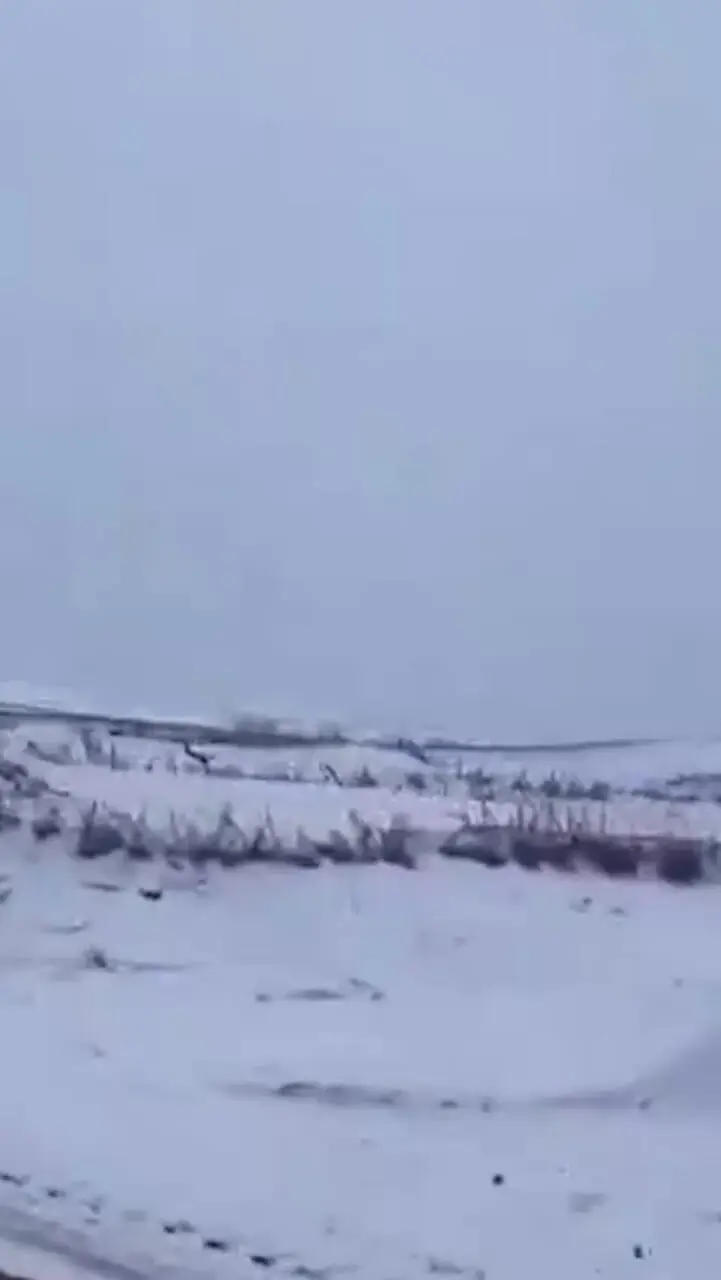 کویر مصر استان اصفهان هم سفید پوش شد! + فیلم