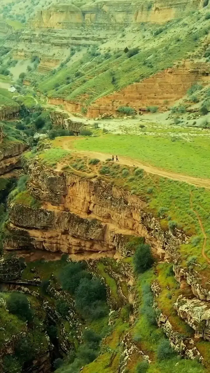 دره ارغوان؛ جادوی رنگ و زندگی در دل کوهستان + فیلم