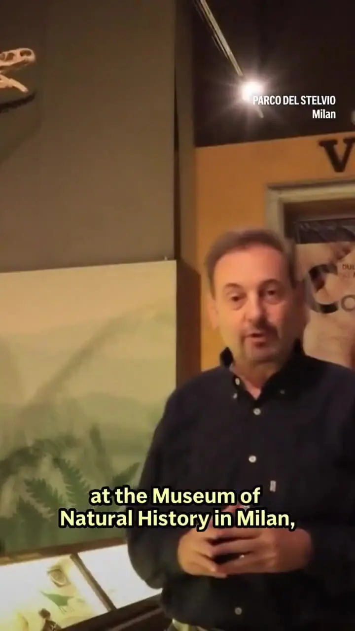 فیلم / ردپای دایناسورهای ۲۱۰ میلیون ساله در ایتالیا پیدا شد