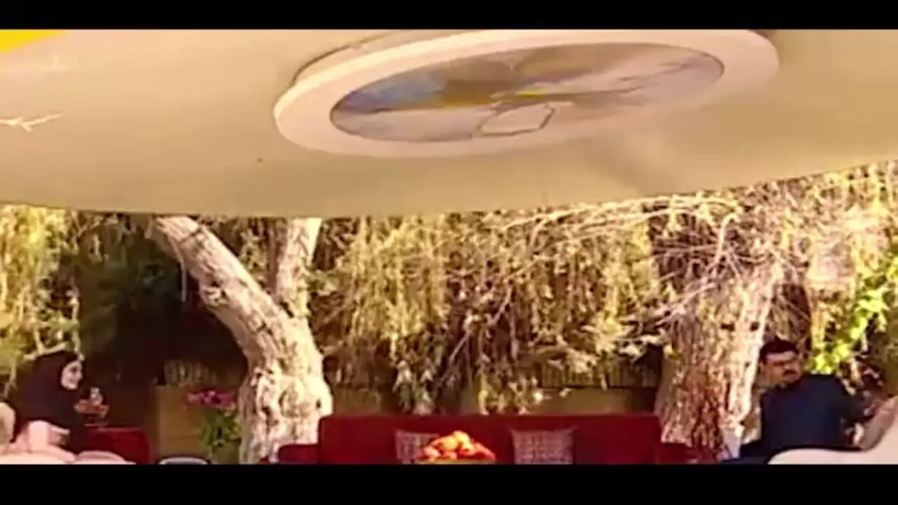 مریم مومن و خاطره آوازخوانی روی درخت در دوران مدرسه / می رفتم بالای درخت... آواز می خوندم...