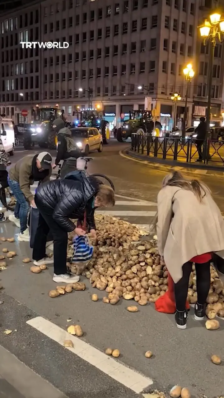 بروکسل در شوک سیب‌زمینی؛ شهروندان از خیابان‌ها برداشت کردند + فیلم