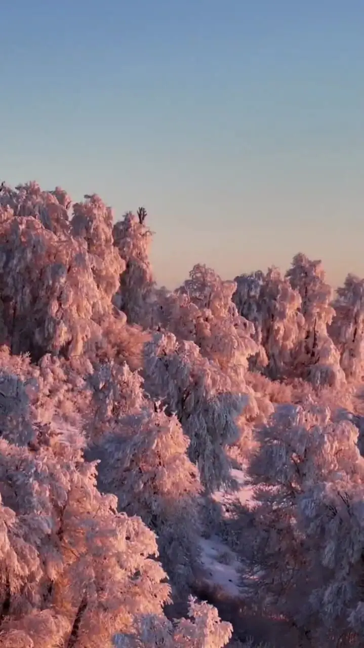 فیلم مناظر زمستانی و برفی مازندران