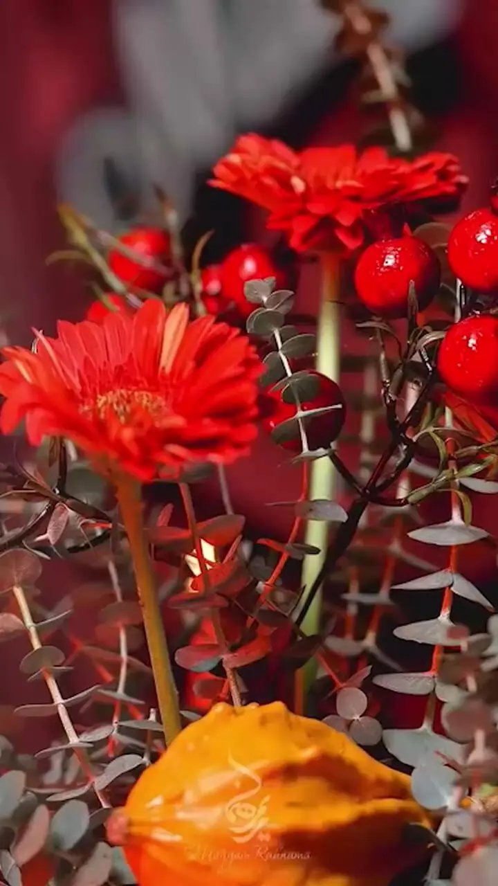 فیلم یلدایی مجلل و باشکوه مریم مومن با حافظ خوانی شوهر صدا مخملی اش / خانم بازیگر با لنز آبی و لباس قرمز یلدایی ...