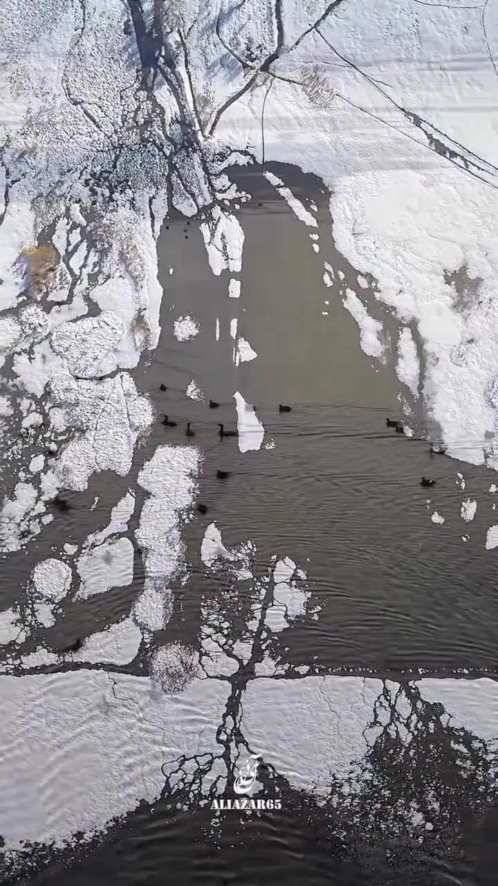 فیلم زیبایی تالاب چغاخور زیر برف و یخ