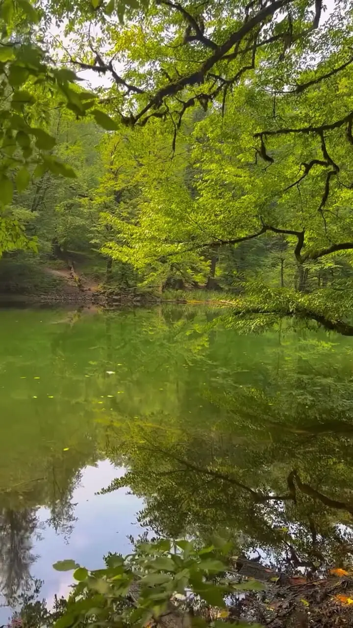 فیلم جادوی طبیعت مازندران در فراخین