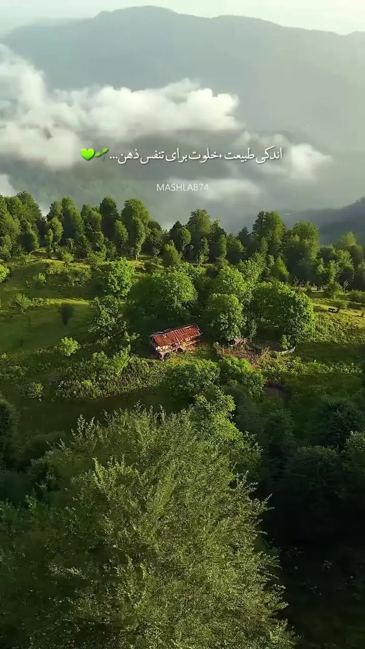 فیلم پرواز بر فراز جنگل های مازندران