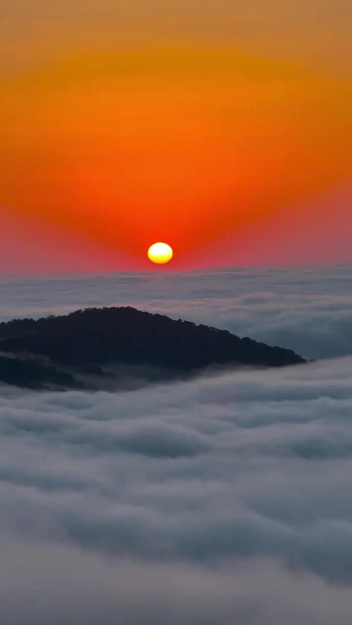 فیلم غروب رویایی جنگل درازنو کردکوی