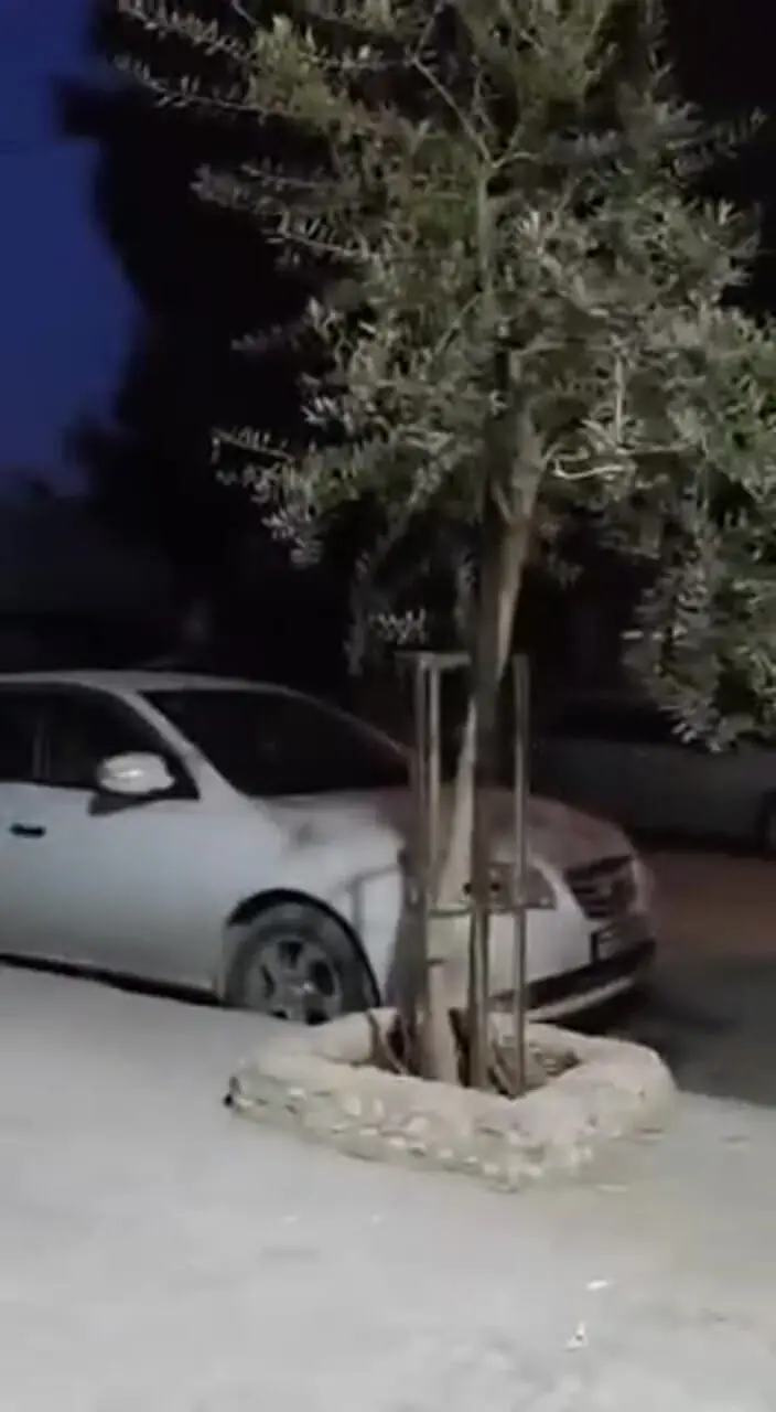 فیلم آواره شدن ده ها خانواده در حلب