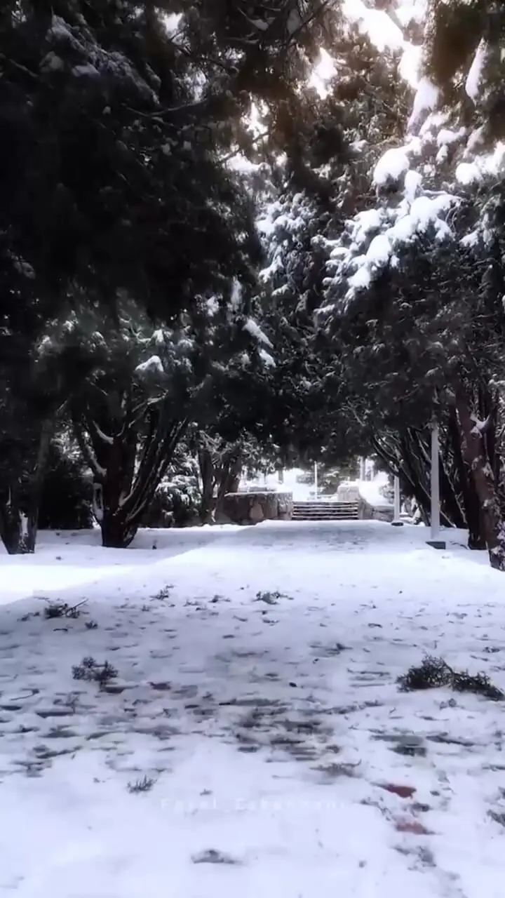 فیلم از اولین برف اصفهان