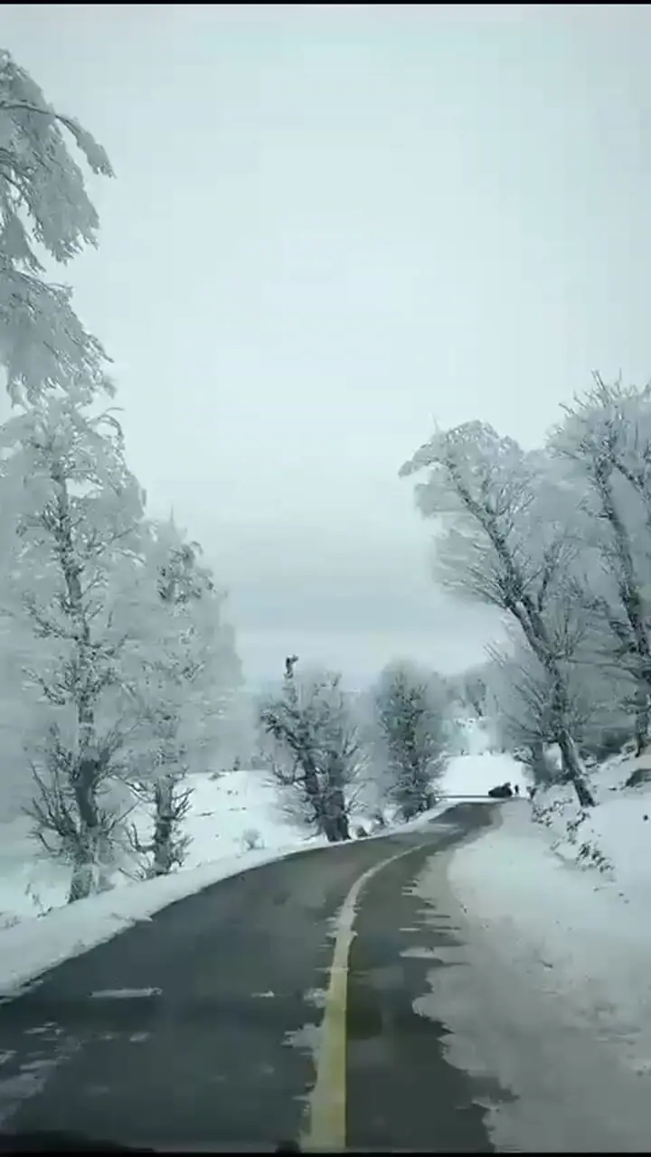 مناظر برفی مینودشت در استان گلستان