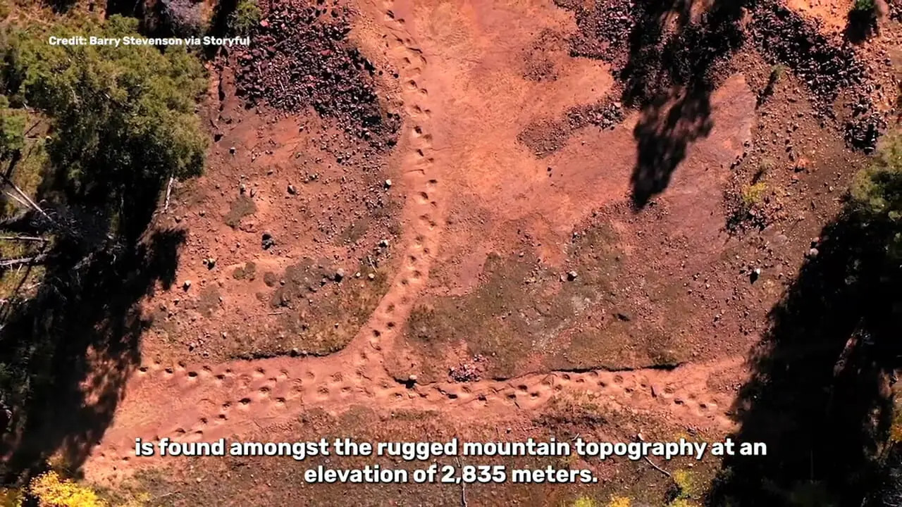 فیلم ردپاهای شگفت انگیز دایناسور در مغولستان