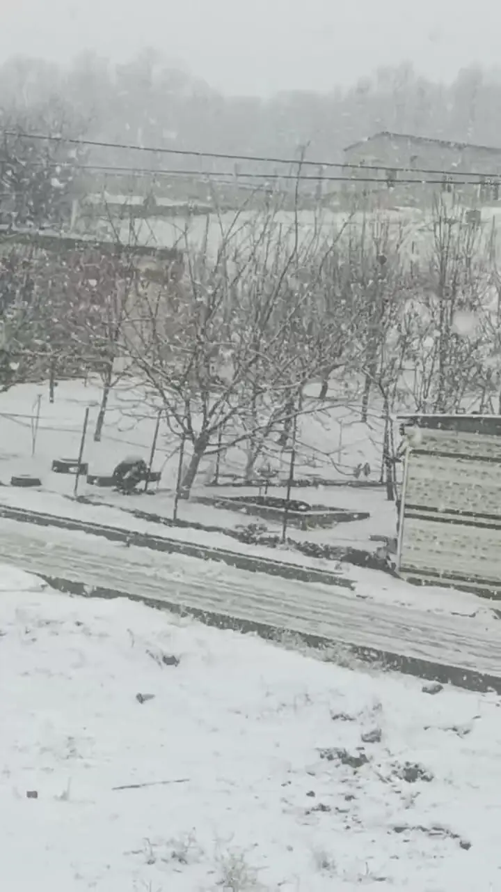 فیلم خوشحالی و بازی کودکان در برف در مریوان