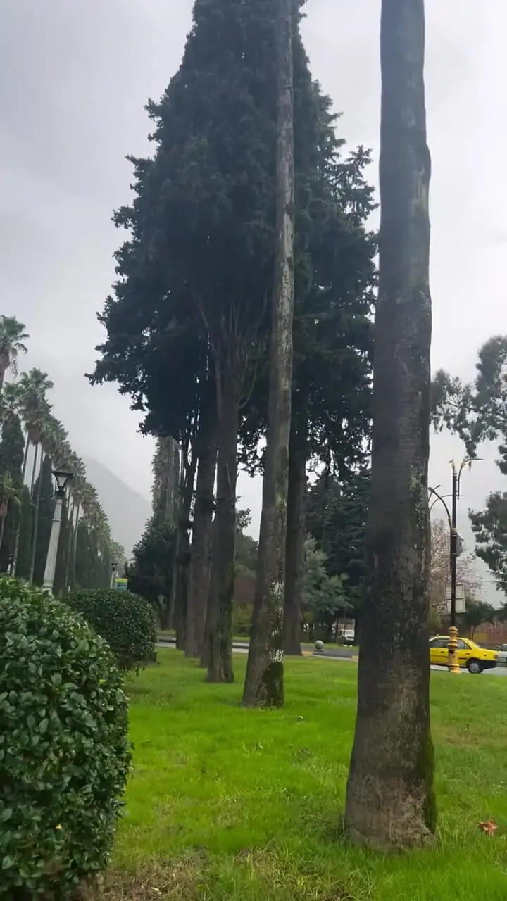 رامسر؛ زیباتر از هر نقاشی، واقعی‌تر از نقاشی + فیلم 