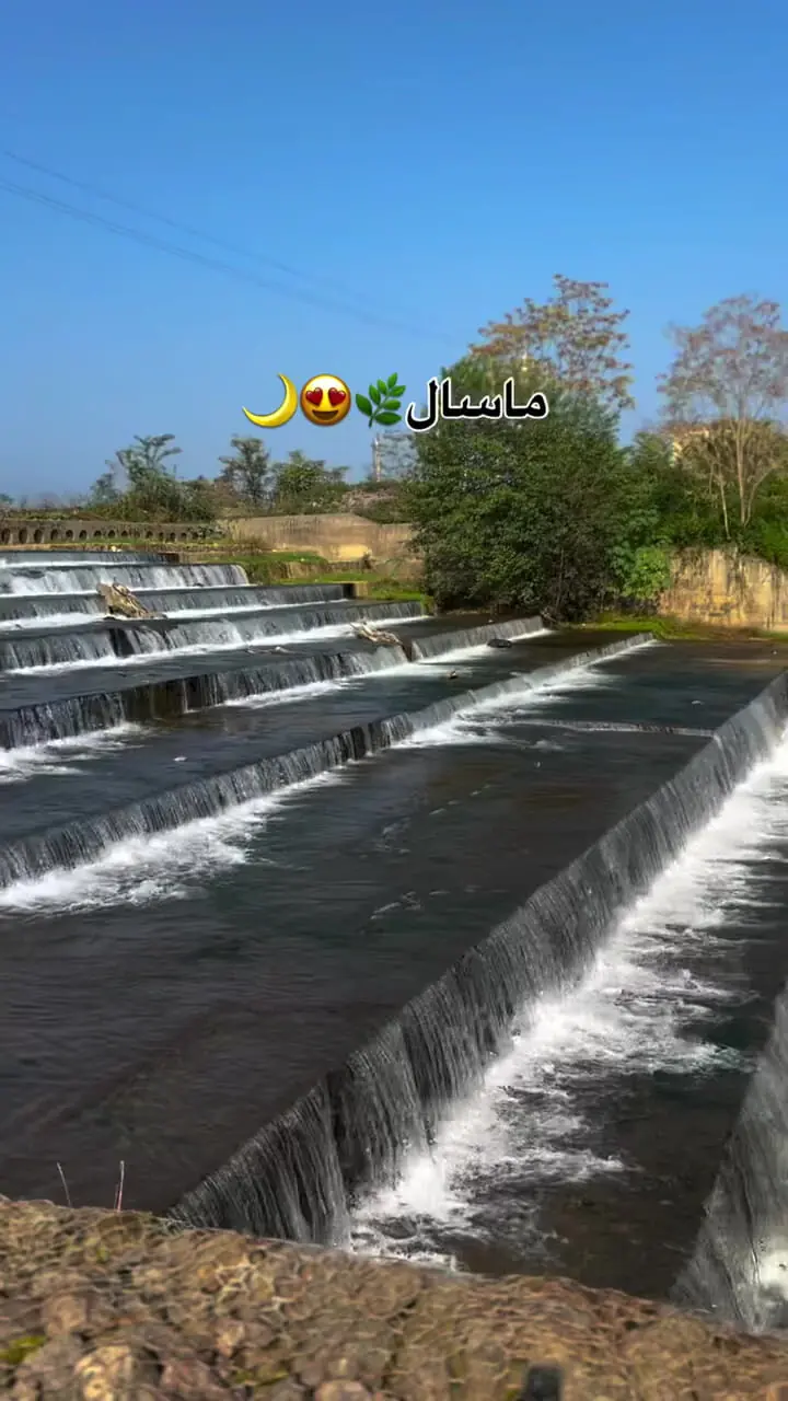 دوله ملال؛ بهشت پنهان ماسال در دل مه و جنگل + فیلم