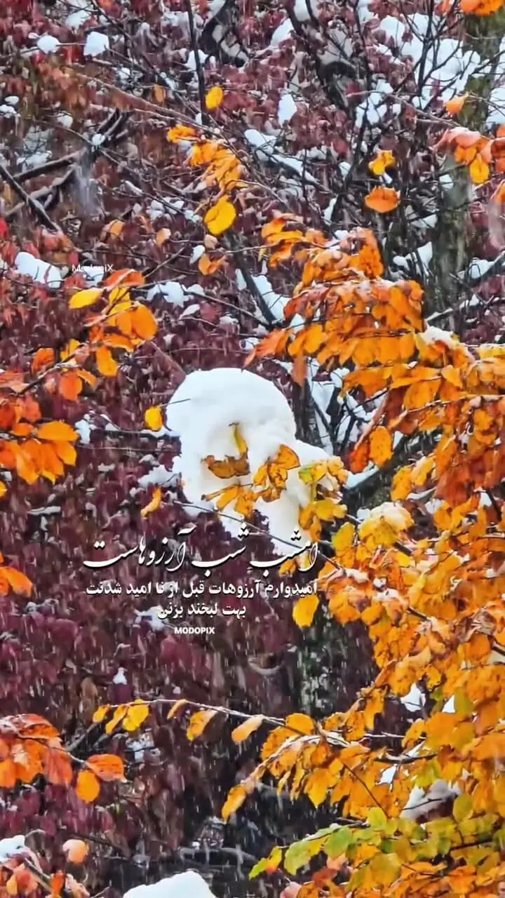 دعای ویژه برای شما عزیزان در شب آرزوها