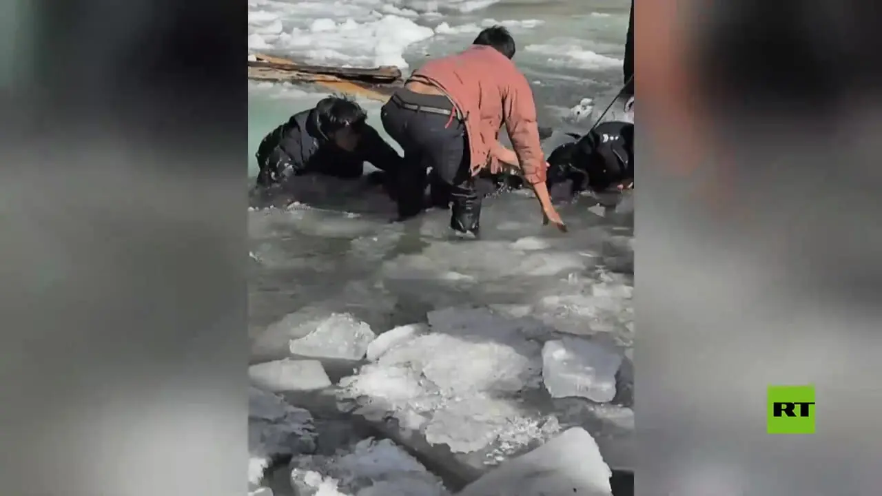 فیلم همکاری مردم و پلیس چین برای نجات گوزن ها