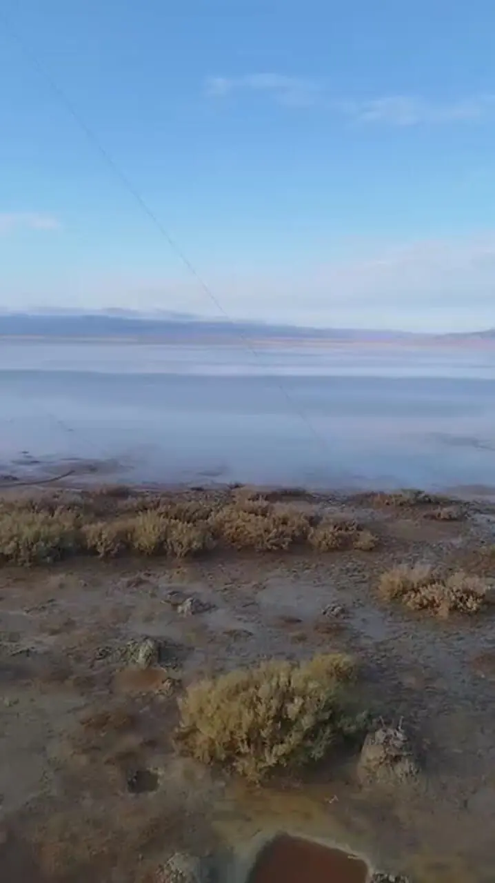 فیلم بازگشت حیات به تالاب نهبندان پس از خشکی طولانی