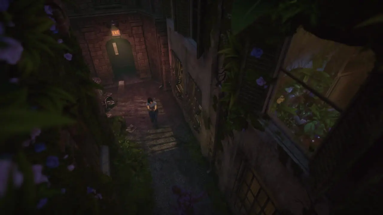 فیلم/  تریلر معرفی The Florist