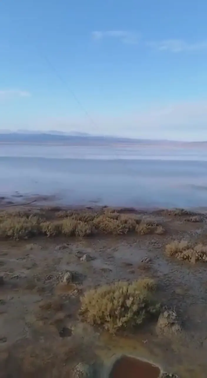  بازگشت حیات به تالاب نهبندان + فیلم