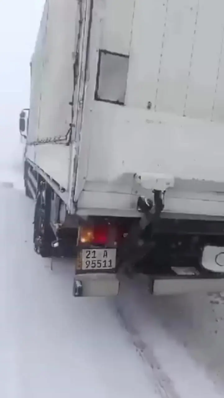 بارش برف در مرز کیله در سردشت + فیلم