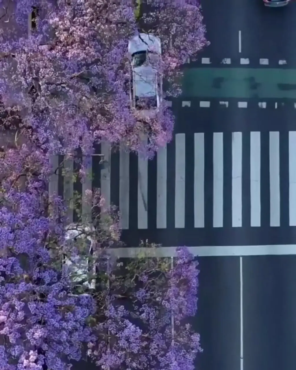 خیابانی حیرت‌انگیز؛ قلب تپنده بوینس آیرس + فیلم