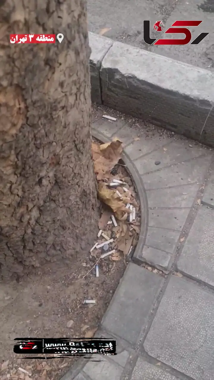 زباله هایی که در تهران جمع نمی شوند! / چرا مدیریت شهری نظافت پایتخت را رها کرده است؟ + فیلم