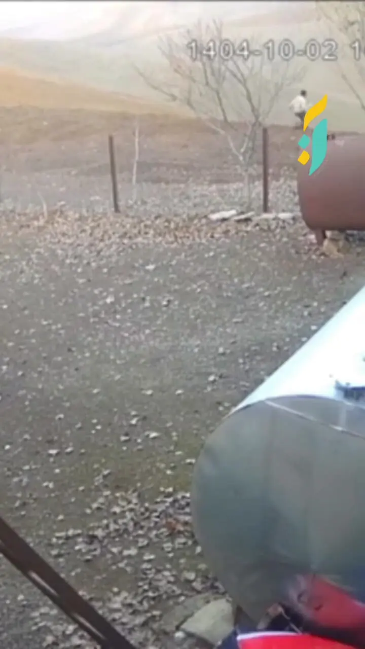 فیلم شجاعت یک نوجوان در روستای لمه‌درق / گرگ مهاجم را از لانه مرغ‌ها فراری داد