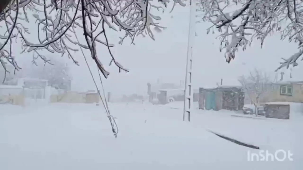 فیلم مناظر زمستانی و سفیدپوش شهرستان بوکان