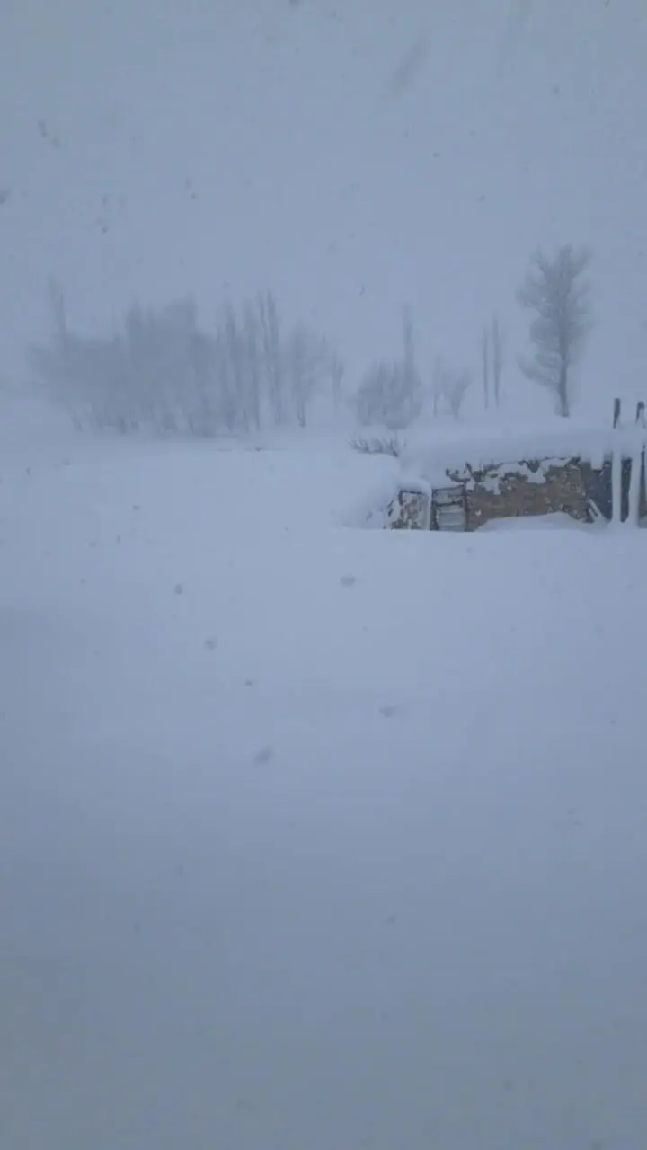 فیلم بارش برف در روستای بایزیدآباد در دیواندره