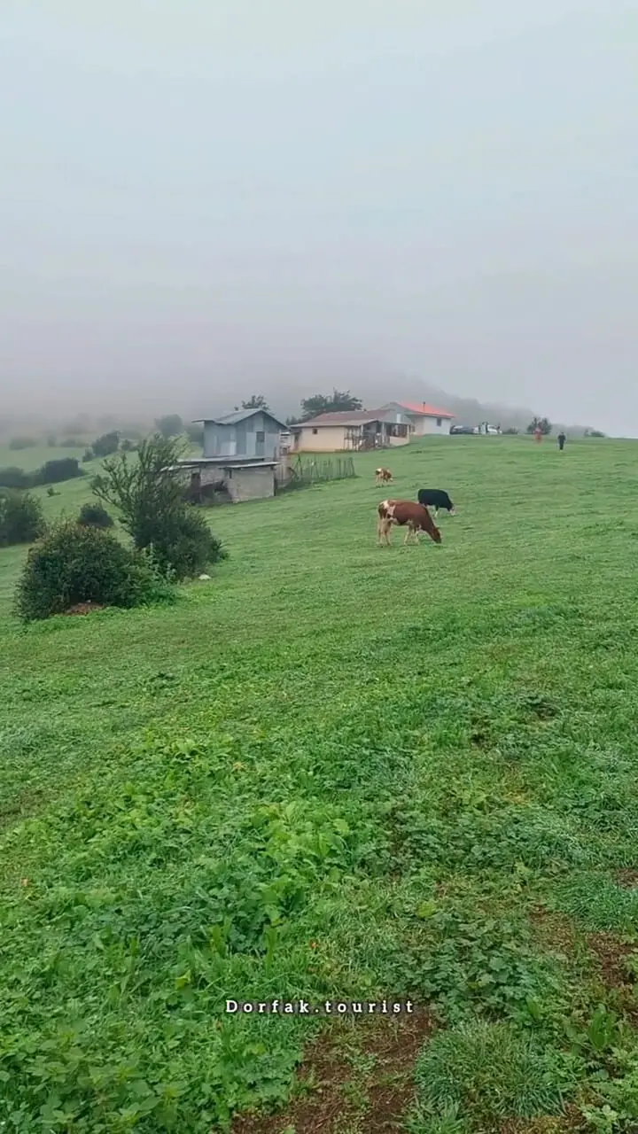 فیلم مناظر سبز و چشم نواز رودبار گیلان