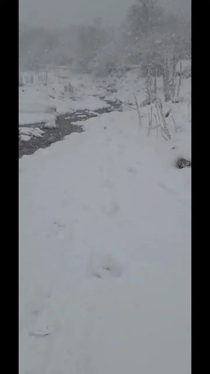 فیلم بارش برف در منطقه کوهستانی سرتنگه سوادکوه