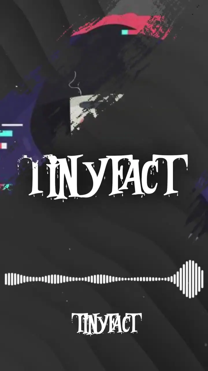 دارک وب چیست و چرا نام آن دوباره بر سر زبان‌ها افتاده است؟ + فیلم