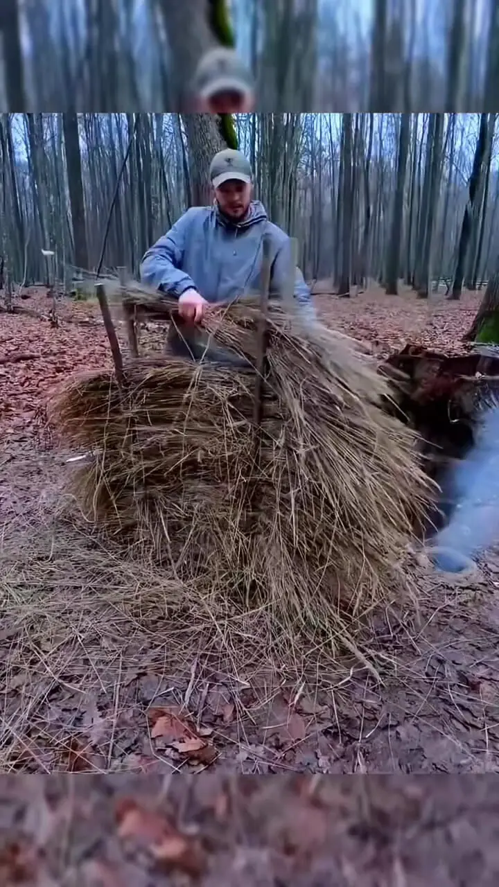 پناه گاه‌های جنگلی / تجربه‌ای فراتر از سفر + فیلم