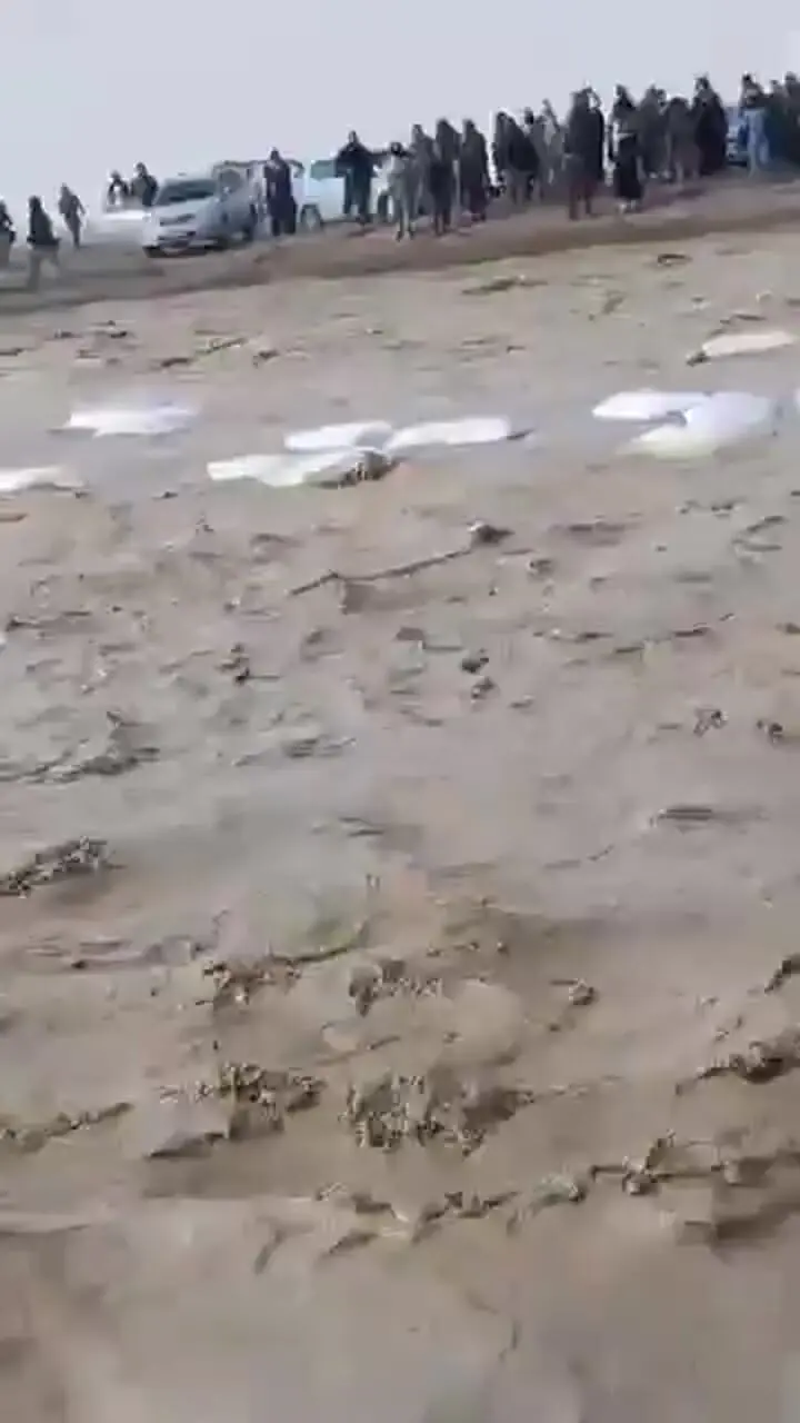 فیلم لحظه واژگونی کامیون در دشت بکوا