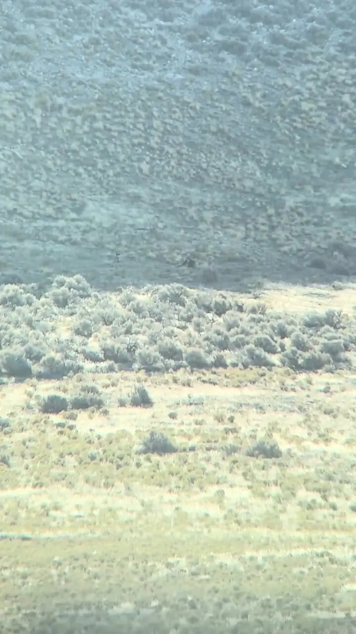 شلیک از فاصله ۹۲۵ یارد / ثبت لحظه دقیق از طریق دوربین ۸۰x + فیلم