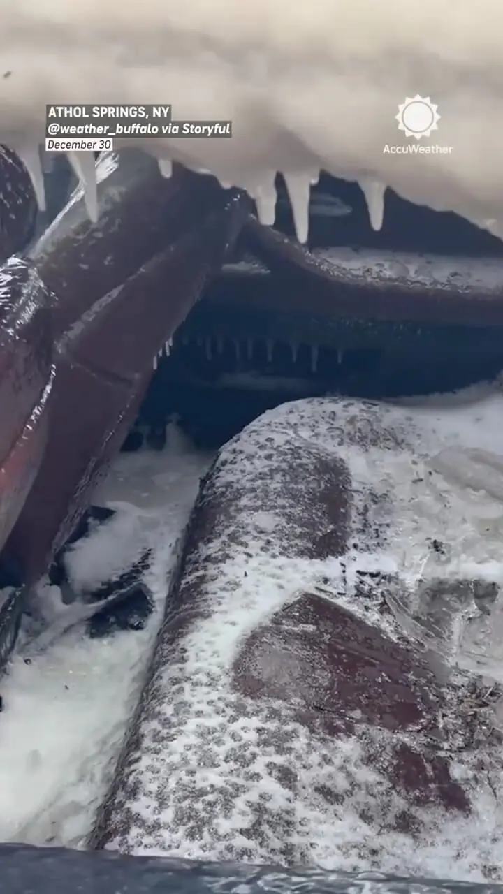 BMW معروف رهاشده در سرمای شدید یخ زد / تصاویر باورنکردنی + فیلم