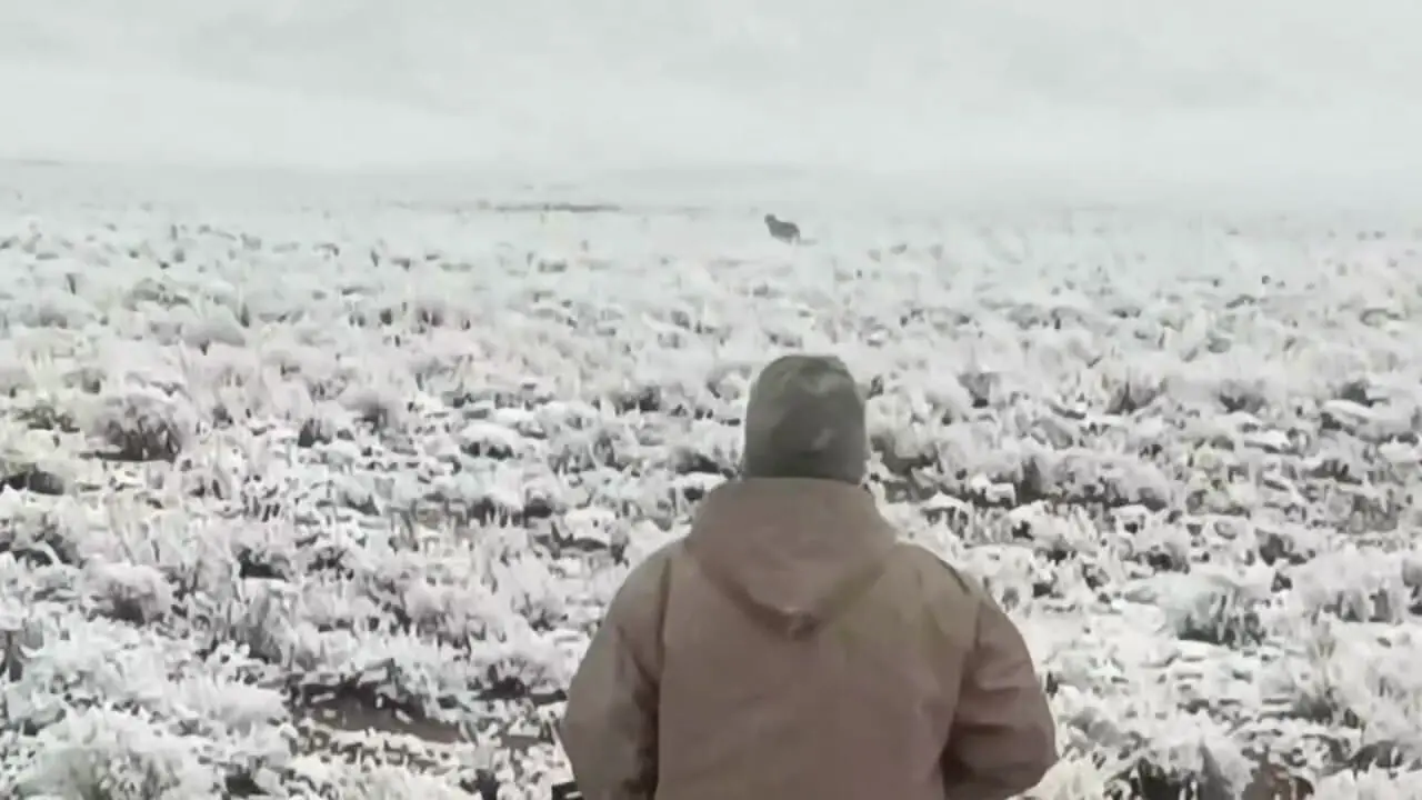 فیلم مشاهده پلنگ در پارک ملی سالوکز