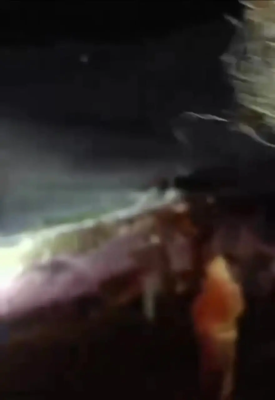 فیلم عملیات نجات در کولاک شدید ارتفاعات کیله شین