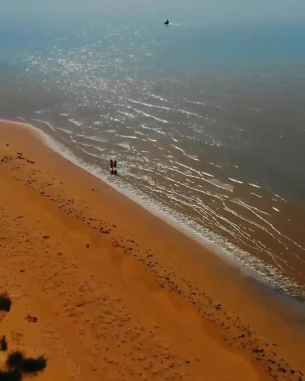 فیلم طبیعت بی‌نظیر جزیره نخیلو