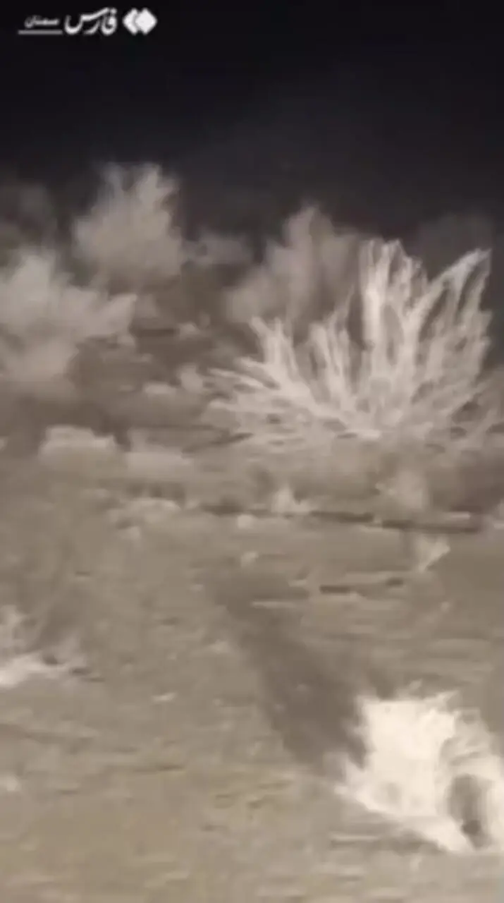 فیلم مشاهده ۲ یوزپلنگ آسیایی در توران شاهرود