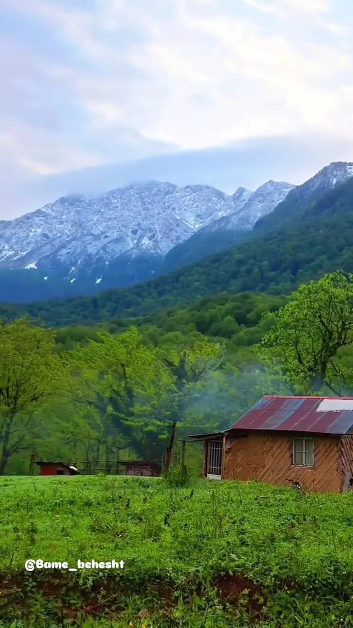 فیلم آرامش در قلب بهشت جنگل های هیرکانی درفک جان