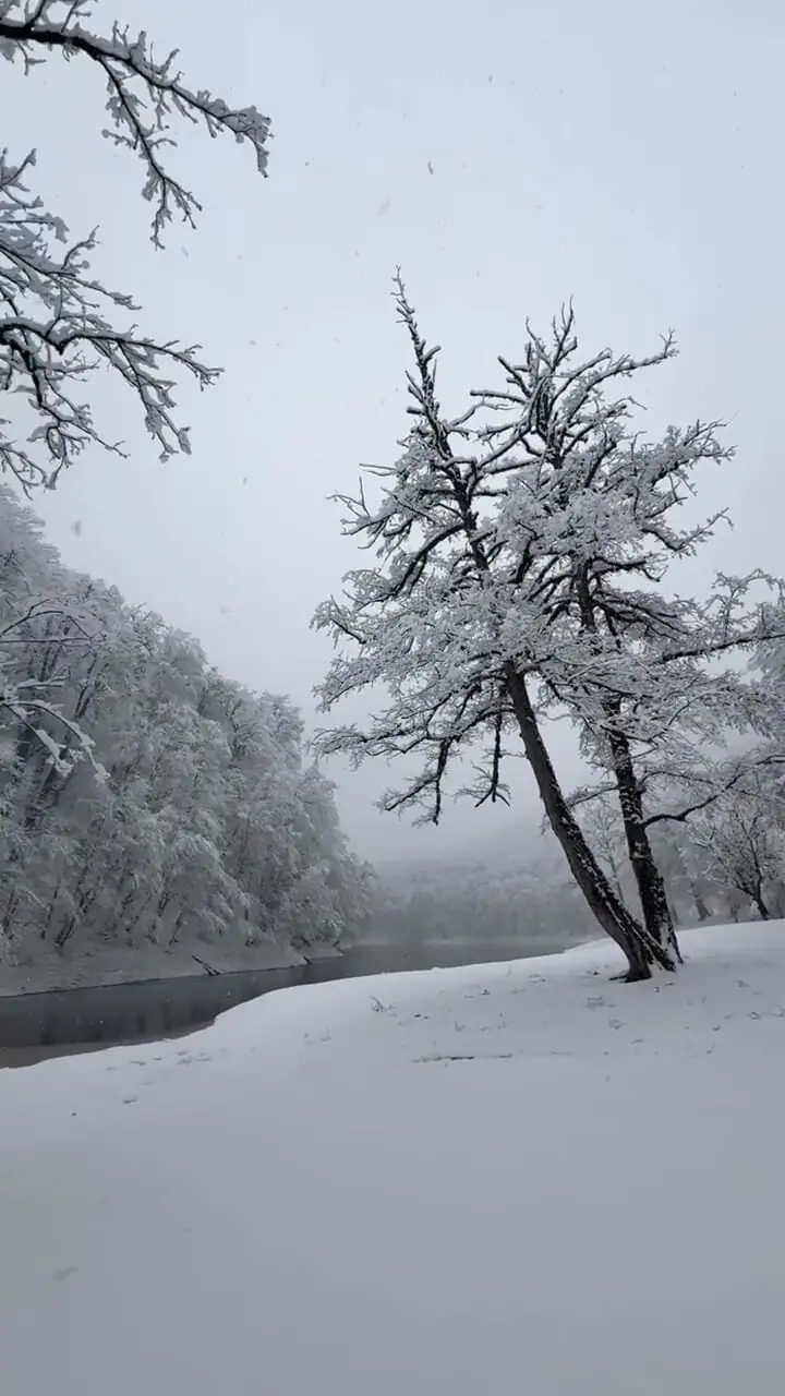 فیلم مناظر زمستانی دریاچه چورت