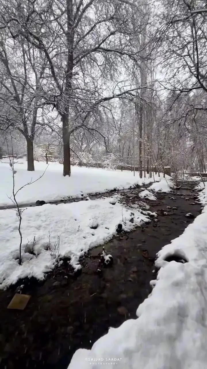 فیلم طبیعت برفی و بکر خوانسار