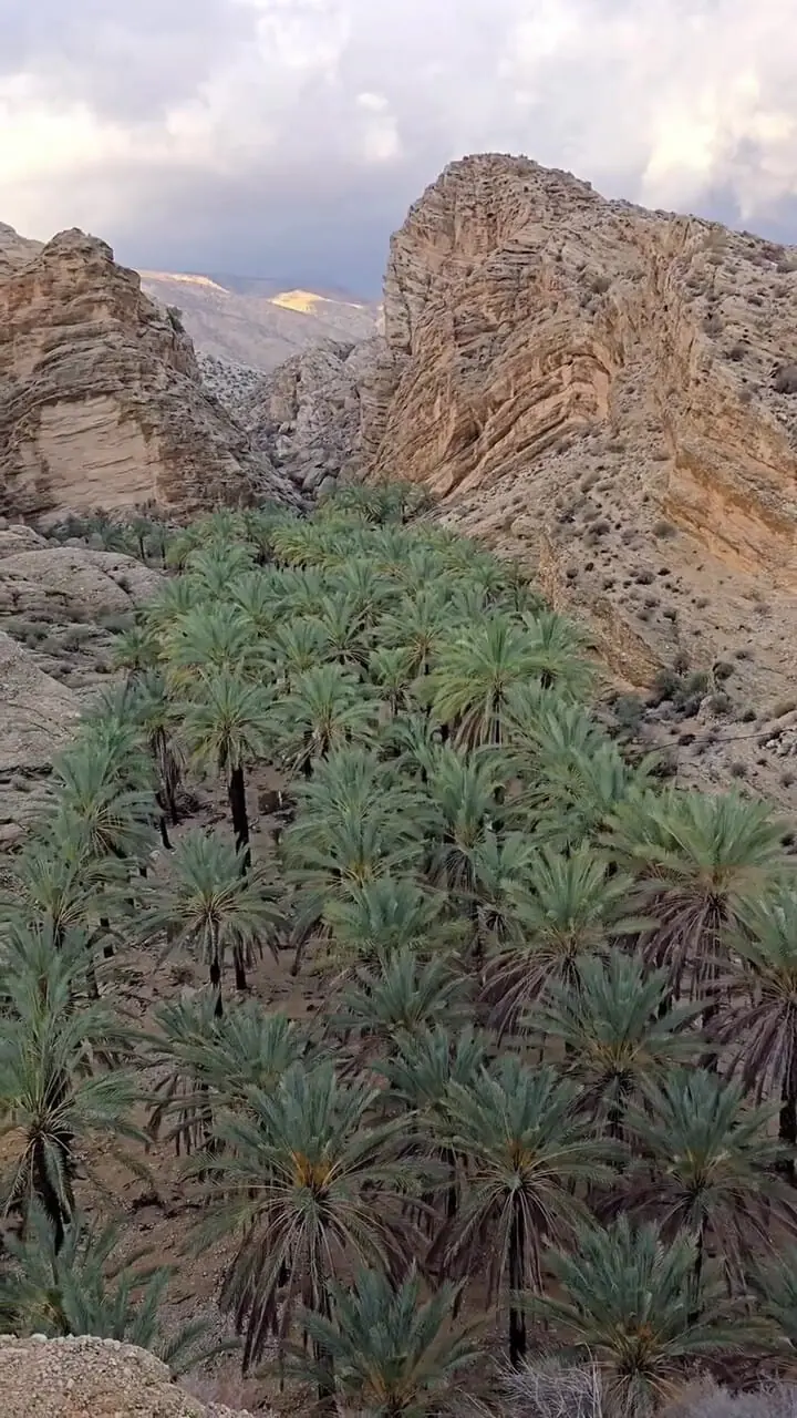 فیلم زیبایی های شهرستان جم در گلوکلات