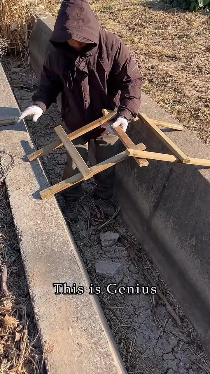 فیلم آموزش پل سازی با چوب