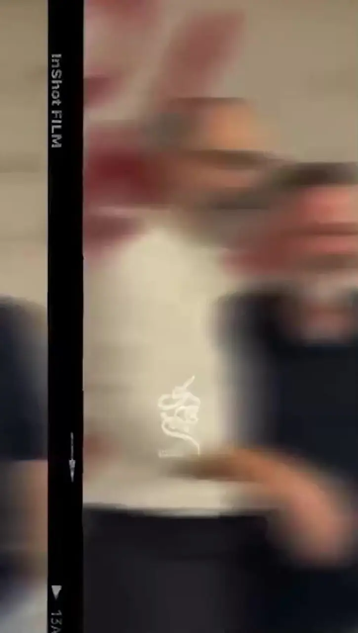 فیلم/ نگاهی به تیپ و استایل شیک سلبریتی ها در اکران فیلم «ناتوردشت»/ از درخشش آقای هزینه ایران، هادی حجازی فر و ترنم کرمانیان تا حضور  دختردهه 90 ارغوان عزیزی