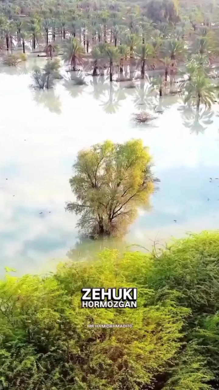 فیلم زیبایی‌هایی که پایان ندارند / جنوب، سرزمین شگفتی‌ها 