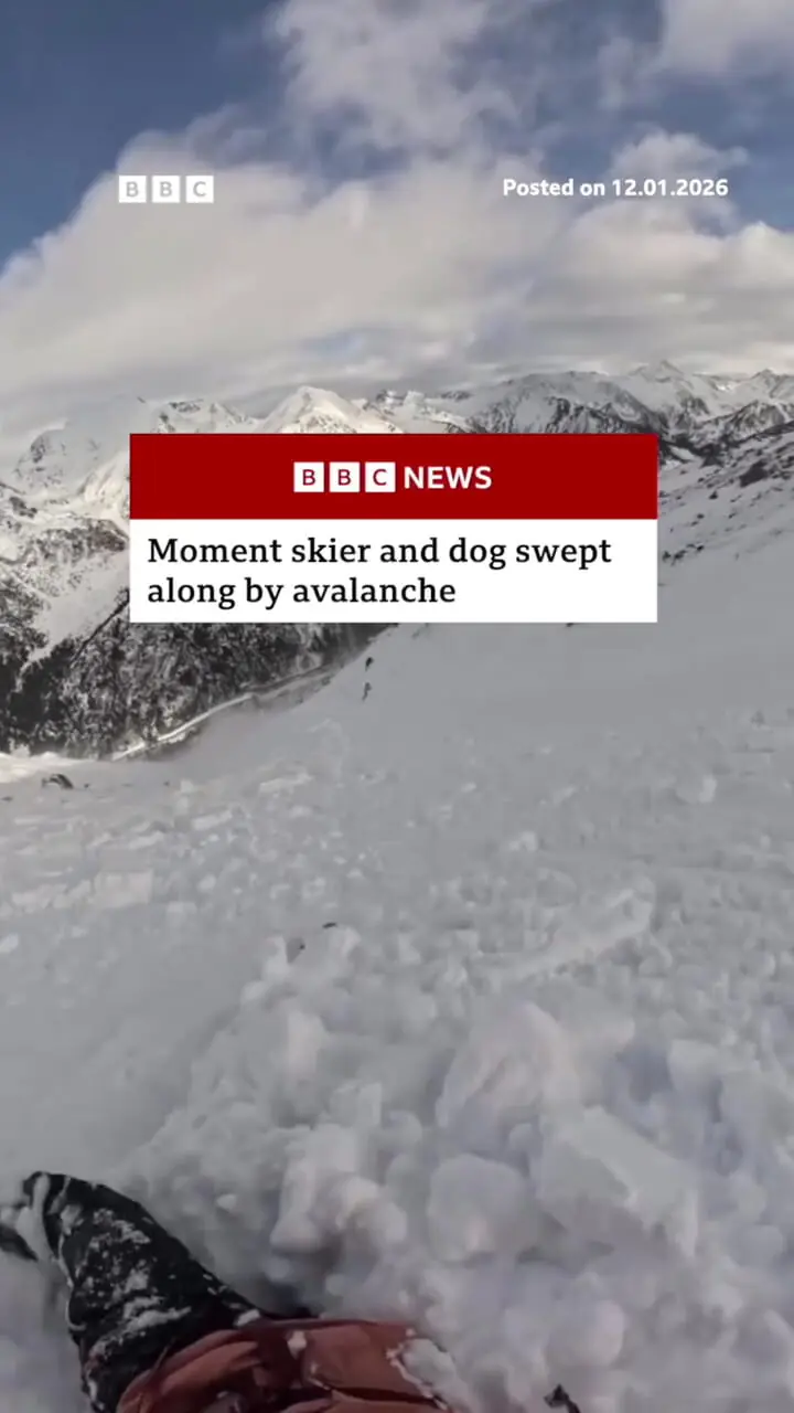 فیلم لحظه گرفتار شدن اسکی باز و سگش در بهمن