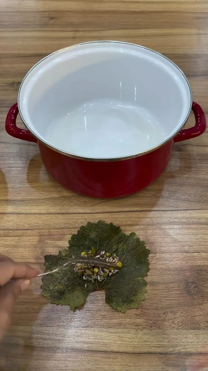 دلمه برگ مو روایت خوش‌طعم یک غذای کهن