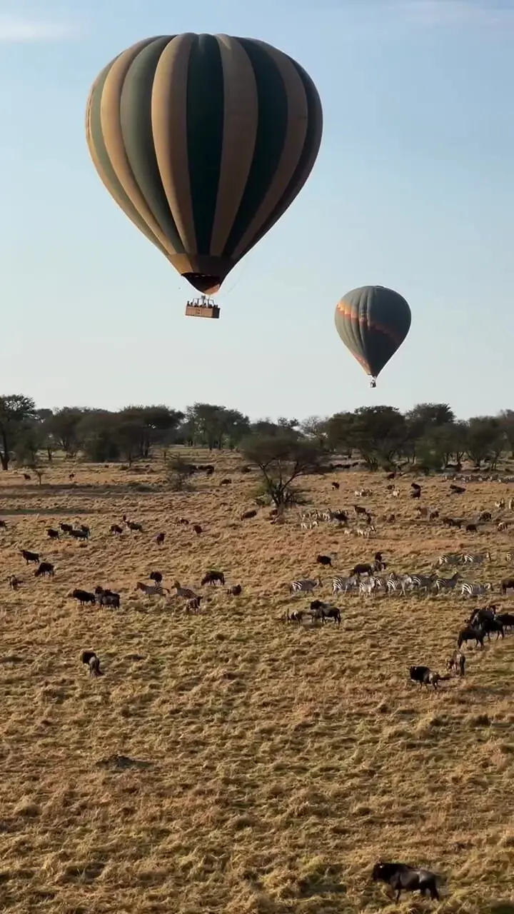 فیلم سفر هوایی کوتاه بر فراز دشت های آفریقا